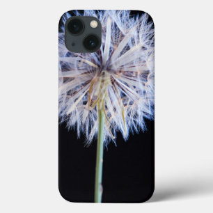 Dandelion (Taraxacum Officinale) Seed Head iPhone 13 Case