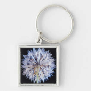Dandelion (Taraxacum Officinale) Seed Head Key Ring