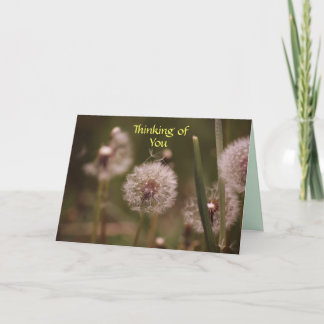 Dandelion Thinking of You Card