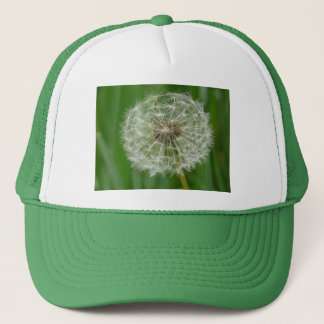 dandelion trucker hat