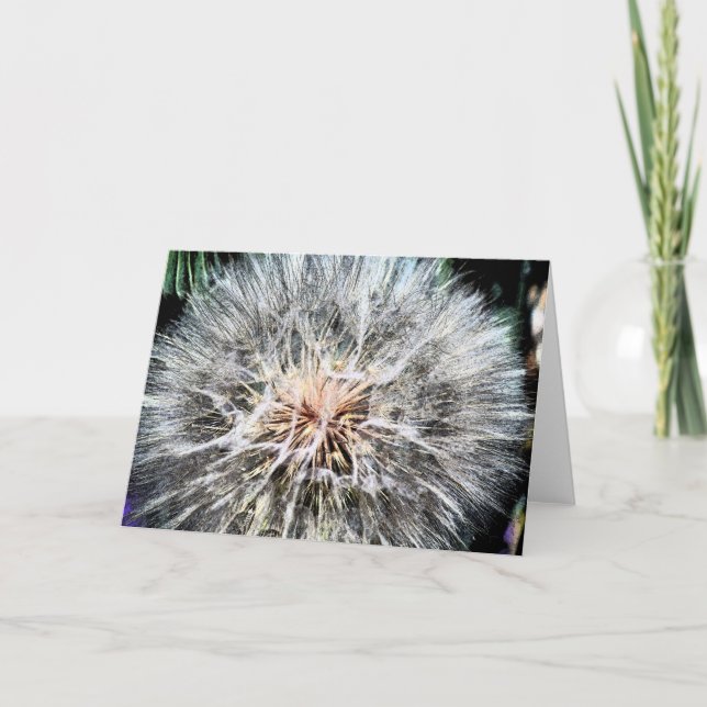 Dandelion Whisps Greeting Card (Front)