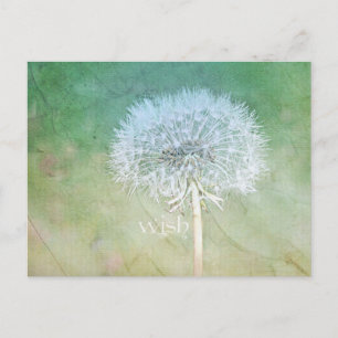 Dandelion Wish Dreamy Design Postcard