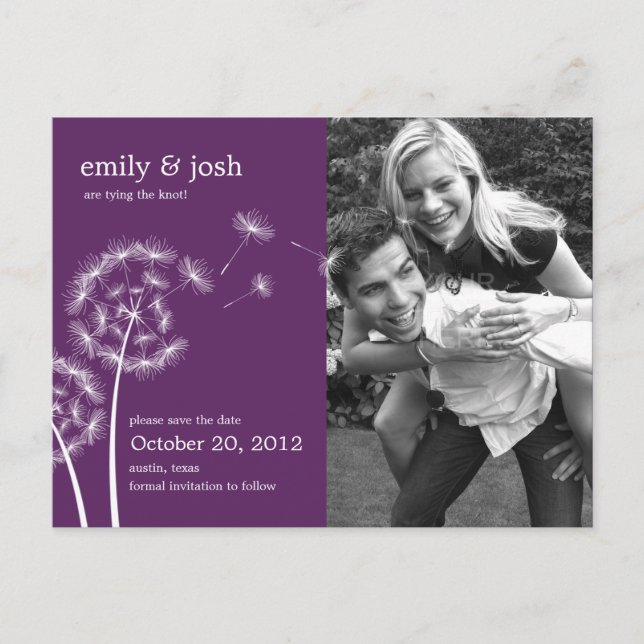 Dandelion Wish Photo Save The Date (Purple) Announcement Postcard (Front)