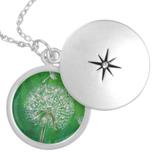 Dandelion Wish, silver locket necklace