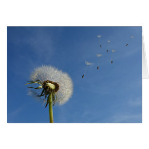 Dandelion Wishes Art Print