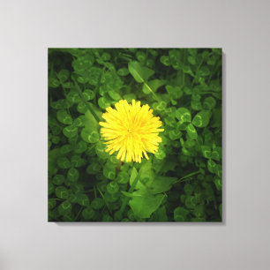 Dandelion Wrapped Canvas