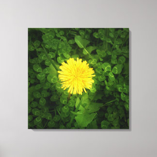 Dandelion Wrapped Canvas