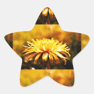 Dandelion Yellow Blossoms Flowers Vines Spring Star Sticker