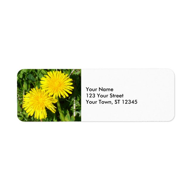Dandelions (Front)