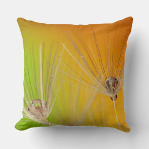 Dandelions 2 Pillows