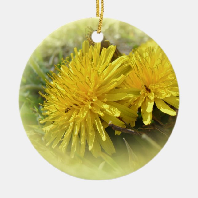 Dandelions - A Sunny Hi Ceramic Tree Decoration (Front)