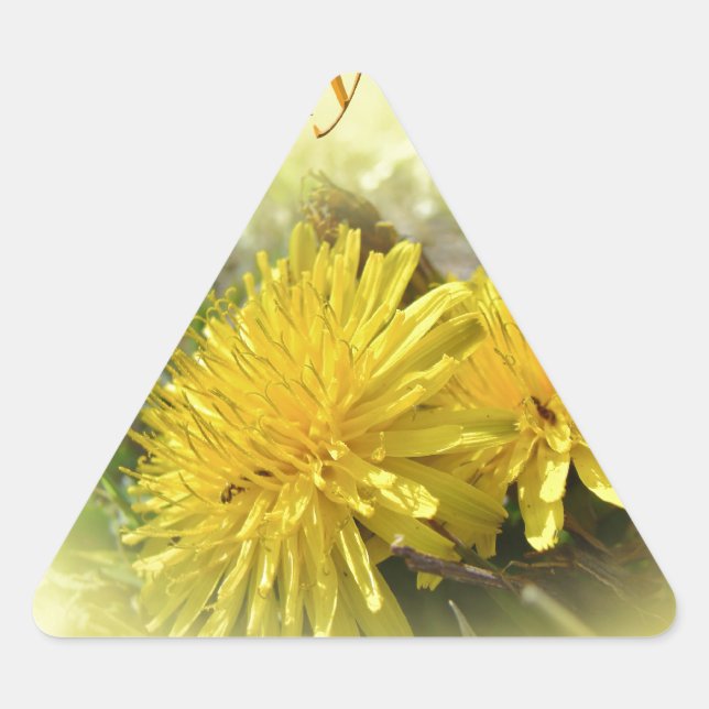 Dandelions - A Sunny Hi Triangle Sticker (Front)