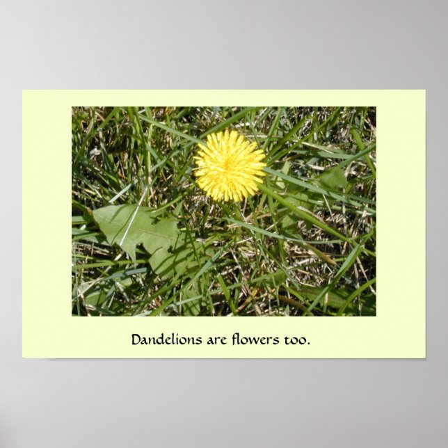 "Dandelions are flowers" poster (Front)