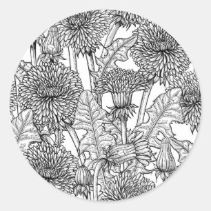 Dandelions, black and white classic round sticker