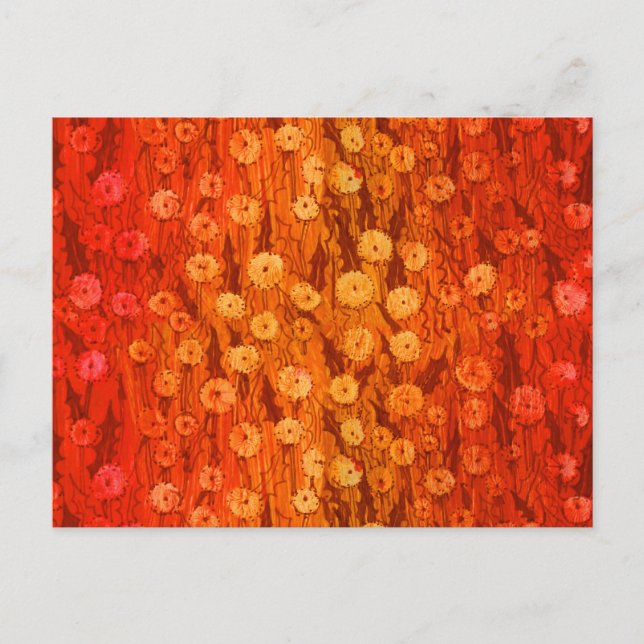 Dandelions Field Summer Flowers Red Orange Ombre Postcard (Front)