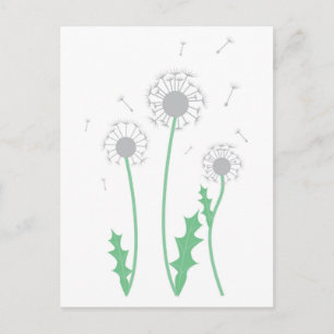 Dandelions Holiday Postcard