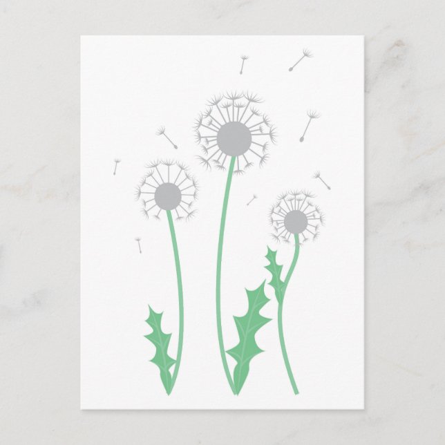 Dandelions Holiday Postcard (Front)