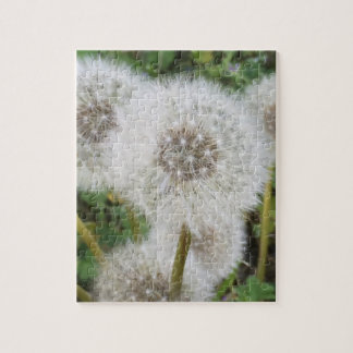 Dandelions Jigsaw Puzzle