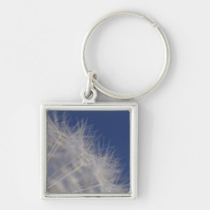 Dandelions Key Ring
