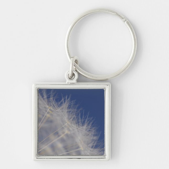 Dandelions Key Ring (Front)
