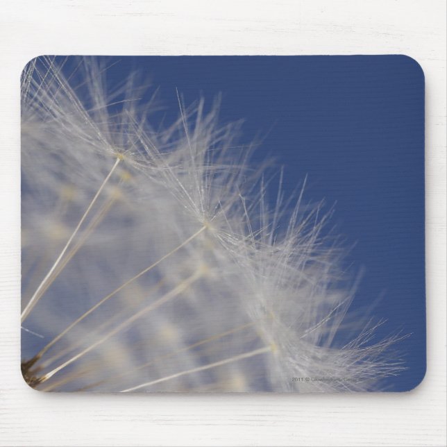 Dandelions Mouse Mat (Front)