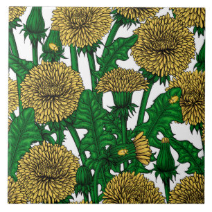 Dandelions on white tile