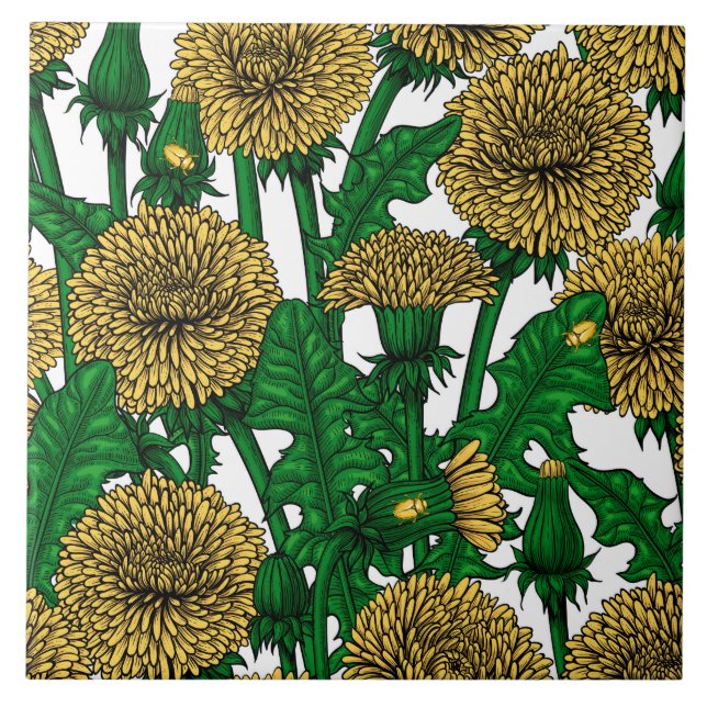 Dandelions on white tile (Front)