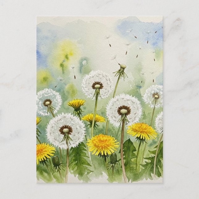 Dandelions Postcard (Front)
