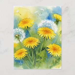 Dandelions Postcard