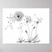Dandelions