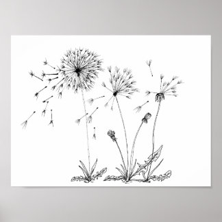 Dandelions Poster