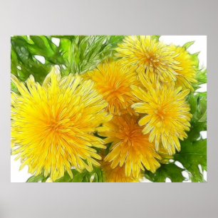 Dandelions! Poster