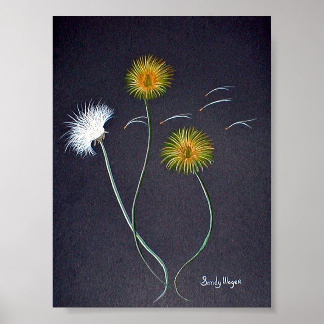 Dandelions Poster Print Large (Front)