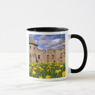 Dandelions surround Cesis Castle in central Mug