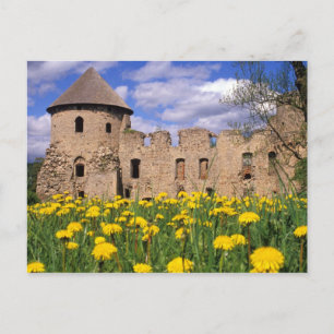 Dandelions surround Cesis Castle in central Postcard