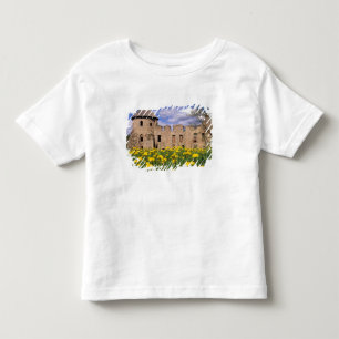 Dandelions surround Cesis Castle in central Toddler T-Shirt