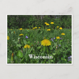 Dandelions & Violets Postcard