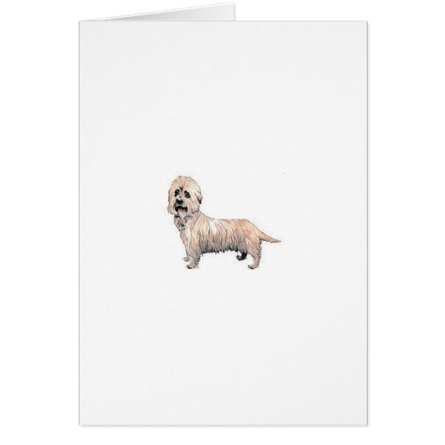 Dandie Dinmont Terrier (Front)