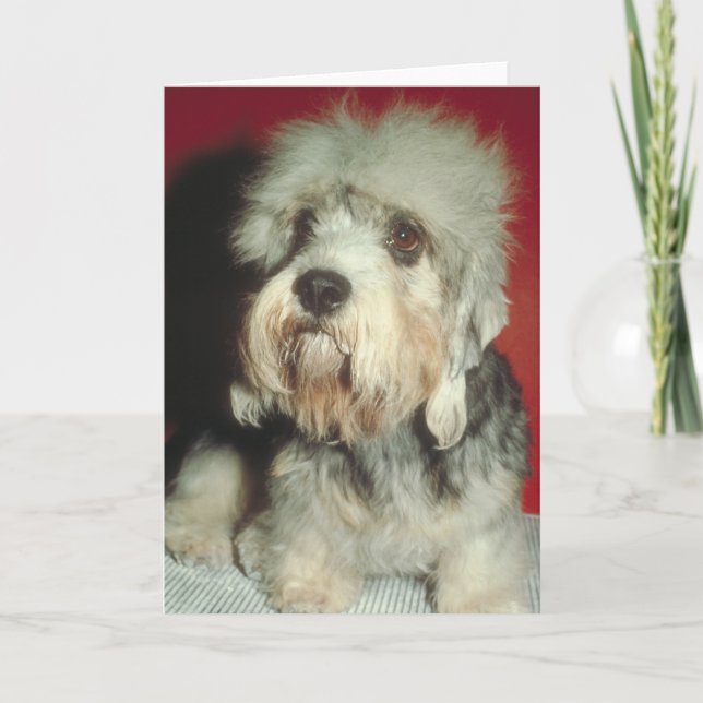 Dandie Dinmont Terrier Card (Front)