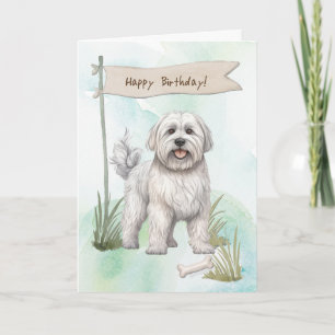 Dandie Dinmont Terrier Dog Under Birthday Sign Card
