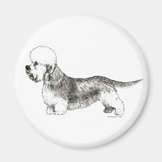 Dandie Dinmont Terrier Magnet (Front)