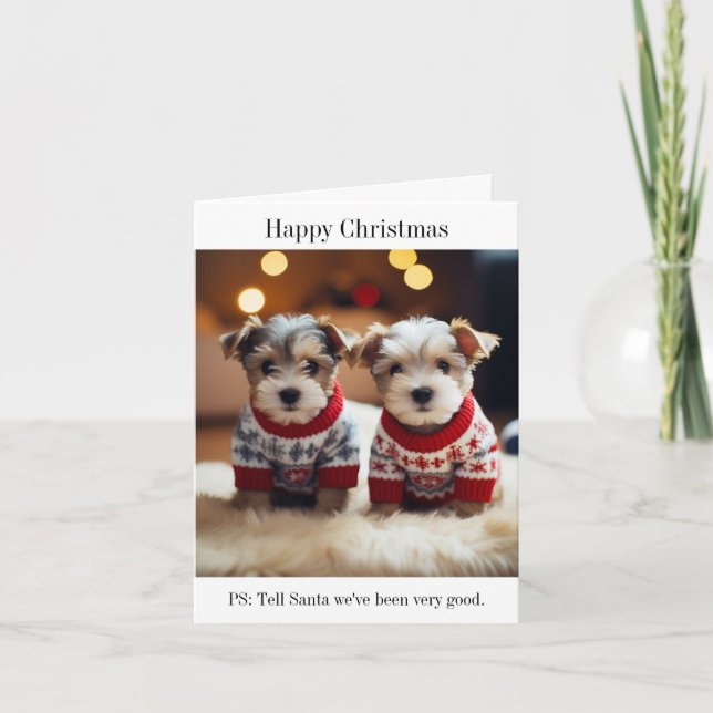 Dandie Dinmont Terrier Puppies Christmas Card (Front)