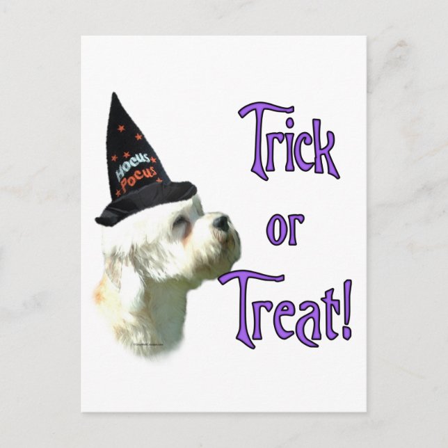 Dandie Dinmont Terrier Trick Postcard (Front)