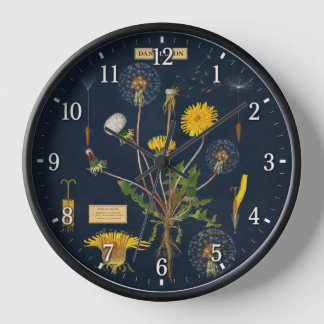 Dandilions - Bontanical Clock