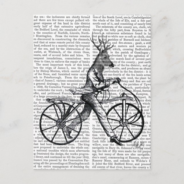 Dandy Deer on Vintage Bicycle Postcard (Front)