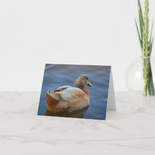 Dandy Duck Note Card