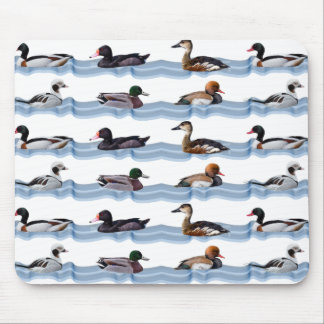 Dandy Ducks Mousemat (choose colour)