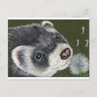 Dandy Ferret Postcard