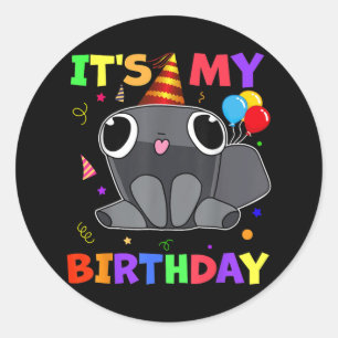 Dandys Pebble Birthday Decoration World For Kids B Classic Round Sticker