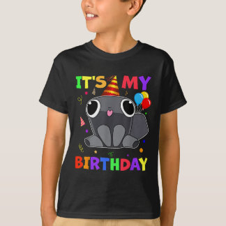 Dandys Pebble Birthday Decoration World For Kids B T-Shirt